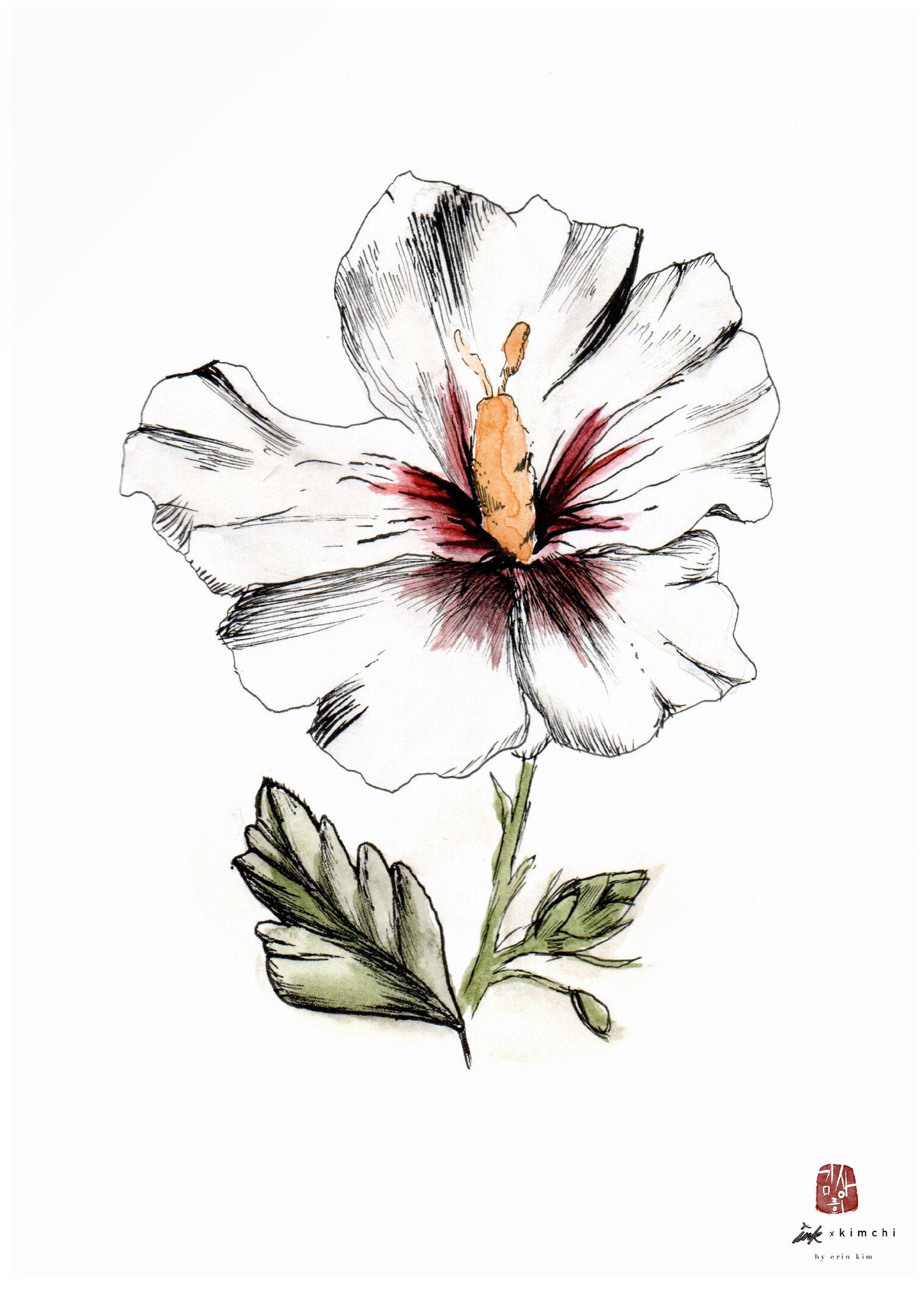 Mugunghwa Korean National Flower Watercolor and Ink Art Print Illustration by Erin Kim